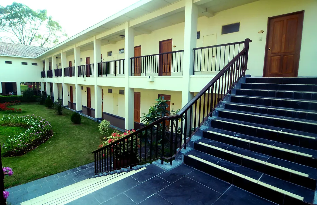 Sakura Inn-1